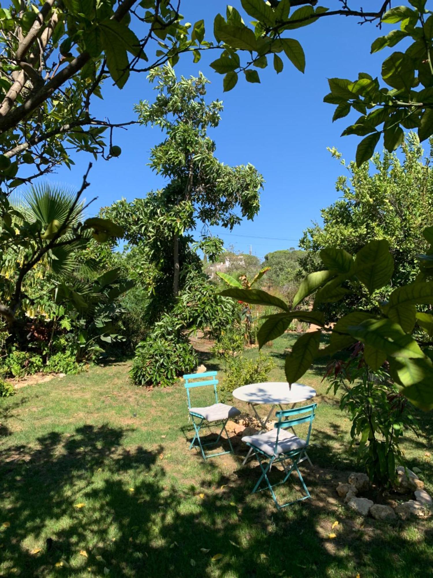 A Tranquil Garden Apartment, Carvoeiro - Benagil Exterior foto
